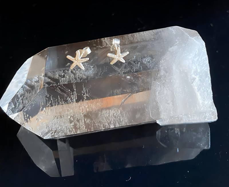 Zarte Silberne Seestern Ohrstecker von RPSchmuckDesign