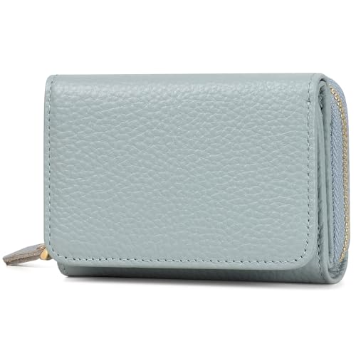 RRANCharltu Portemonnaie Damen Klein Geldbörse Damen Kleines Geldbeutel Klein Portmonee Leder mit Viele Kartenhalter RFID Schutz Mini Geldbörse Kartenhüllen, Blau von RRANCharltu