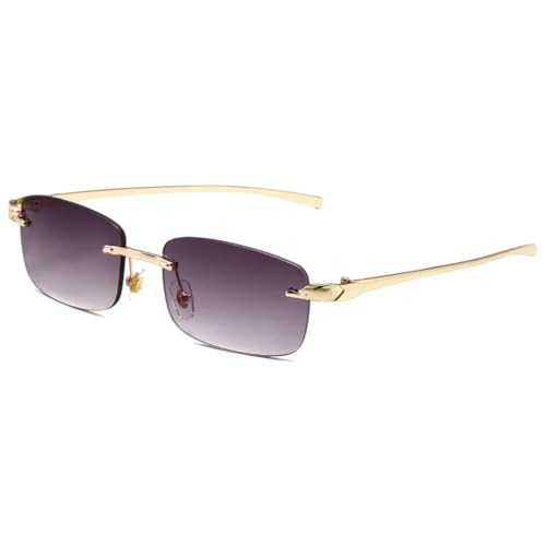 RRNTTTM Randlose Sonnenbrille, modisch, Leopardenmuster, für Damen und Herren, kleine Sonnenbrille, UV400 (grau) von RRNTTTM