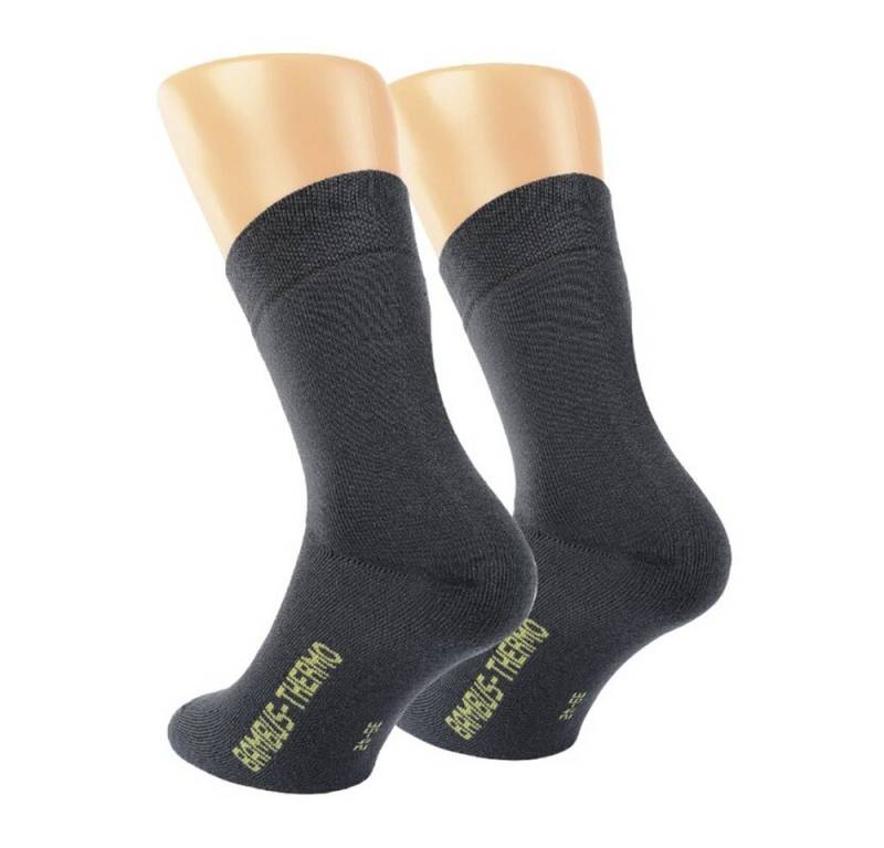 RS Harmony Basicsocken Thermo Bambus Viskose Socken Thermo Socken für herbstliche Tage (2-Paar) Thermo von RS Harmony