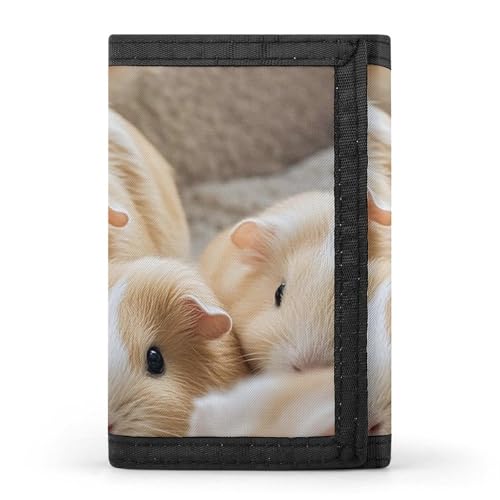 RTFGHJS Dreifach gefaltete Geldbörse für Herren, Engelsflügel-Münzgeldbörse, schmal, Geldklammer, Kreditkartenetui mit 8 Kartenfächern, Meerschweinchen, Einheitsgröße, Modern von RTFGHJS