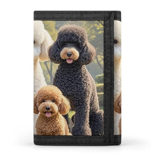 RTFGHJS Dreifach gefaltete Geldbörse für Herren, Pudel Hunde, Münzgeldbörse, schmal, Geldklammer, Kreditkartenetui mit 8 Kartenfächern, Pudelhunde, Einheitsgröße, Modern von RTFGHJS
