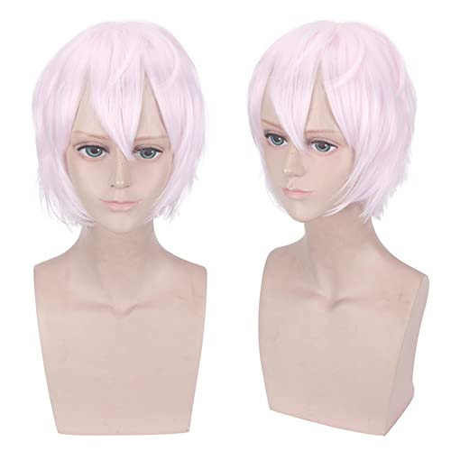 Wig for Props Matching Performance Modeling Cos Wig Mystery Asla/Julian Dvorak Color:Pl-598-1 Asila[Pink And White Color] von RTGFS