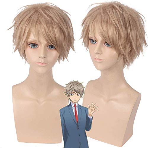 Wig for Props Matching Performance Modeling I'M So Popular What Should I Do With Shinomiya Hayato Cosplay Wig von RTGFS