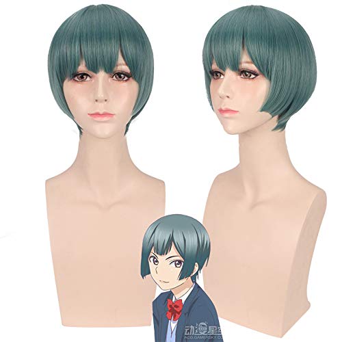 Wig for Wedding Shooting Runway Catwalk Interview I'M Too Popular, What Should I Do With The Second Branch Zhima Cosplay Wig von RTGFS