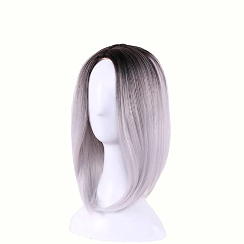 10inch Synthetic Hair Two Tone Ombre Short Bob Straight Wig Cosplay Wigs For Women Heat Resistant Fiber OneSize gray von RUIRUICOS