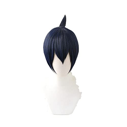 Anime Chainsaw Man Hayakawa Aki Black Blue Short Cosplay Wig Synthetic Hair Halloween Party Wigs von RUIRUICOS