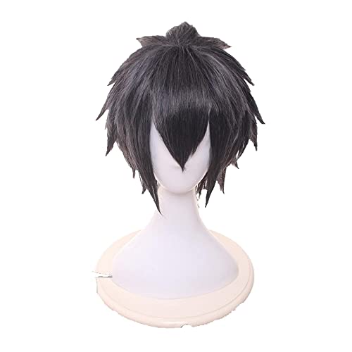 Anime Final Fantasy FF15 Noctis Lucis Caelum Wig Heat Resistant Synthetic Hair Cosplay Wigs For Adult Men Women + Cap von RUIRUICOS