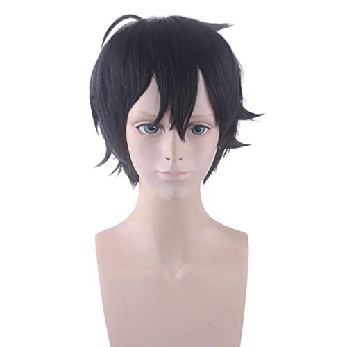 Anime Re:Dive Short Black Wig Cosplay Synthetic Hair Halloween Party Wigs von RUIRUICOS