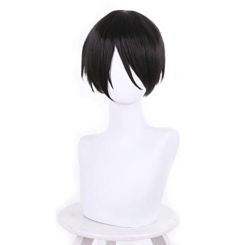 Anime Requiem of the Rose King Richard III Cosplay Wig Black Short Hair Heat Resistant Fiber Hair + Wig Cap Halloween Party von RUIRUICOS