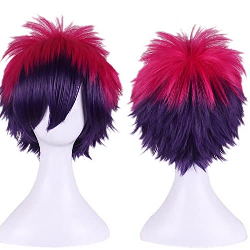 Anime Short Fluffy Layered Cosplay Costume Wig Red Purple Ombre Wigs For Women No Game No Life Sora Synthetic Hair + Wig Cap von RUIRUICOS