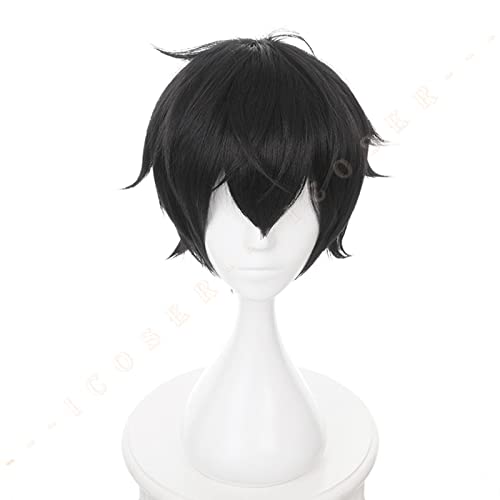 Anime The Rising of The Shield Hero Naofumi Iwatani Cosplay Wig Black Short Hair Heat Resistant Fiber Hair Festival Party Props von RUIRUICOS