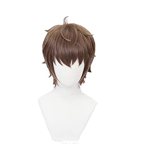 Azusagawa Sakuta Cosplay Wig Rascal Does Not Dream Of Bunny Girl Senpai Short Brown Wig Heat-resistant Fiber Hair+Wig Cap Men von RUIRUICOS