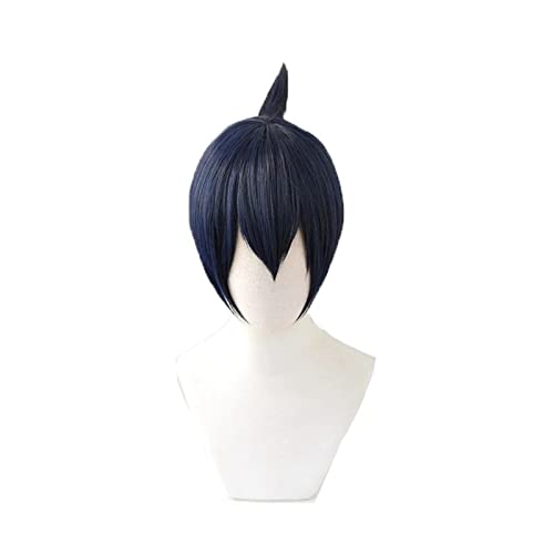 Chainsaw Man Hayakawa Aki Wig Cosplay Costume Dark Blue Short Heat Resistant Synthetic Hair Carnival Party Wigs von RUIRUICOS