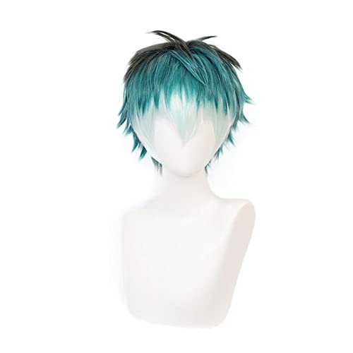 Division Rap Battle Division Nurude Sasara Cosplay Wig DRB Hypnosis Mic Division Rap Battle Rhyme Anima Wig MIC Cosplay Hair Wig von RUIRUICOS