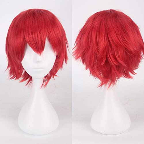 Fashion Cheap Short Cosplay Wig Men Heat Resistant Synthetic Hair Halloween Costume Party Wigs Peruca + Wig Cap OneSize red2 von RUIRUICOS