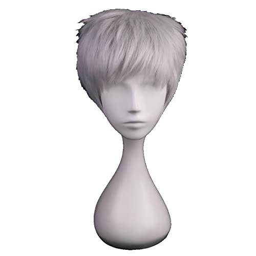 Game Anime Cosplay Wig Short Straight Synthetic Hair Overwatch Soldier 76 Boy Costume Party Silver Grey Wigs For Men von RUIRUICOS