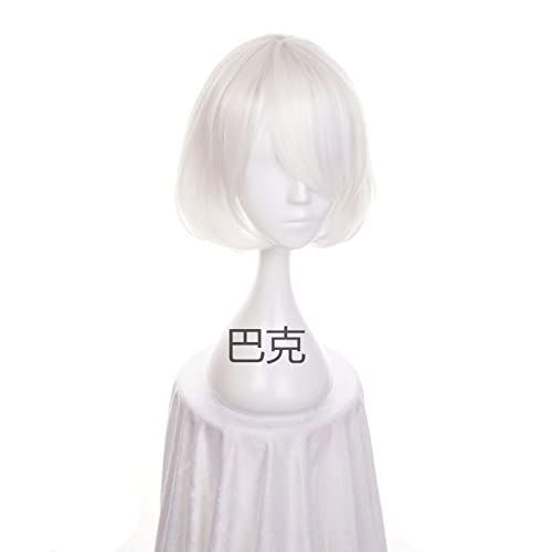 Game YoRHa No.2 Type B Character 2B Wig Pure White Heat Resistant Synthetic Hair Perucas Cosplay Wig + Wig Cap von RUIRUICOS