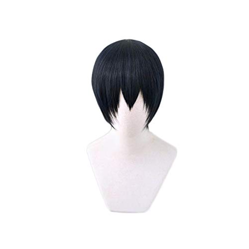 Haikyuu!! Cosplay tsukishima kei Hinata Shoyo Nishinoya Yuu Oikawa Tooru Kozume Kenma kageyama tobio Miya Atsumu Miya Osamu Wig kageyamatobio von RUIRUICOS