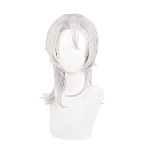 Kimetsu No Yaiba Uzui Tengen Silver Gray Long Cosplay Heat Resistant Synthetic Hair Wig von RUIRUICOS