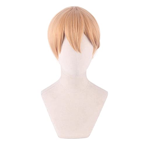 Shirogane Miyuki Cosplay Wig Anime Kaguya Sama Love is War Men 30cm Mixed Golden Heat Resistant Synthetic Hair Wig von RUIRUICOS