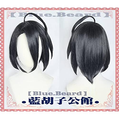 Sword Shield Hero Allister Cosplay Short Black Heat Resistant Synthetic Hair+ Wig Cap Halloween Party Carnival von RUIRUICOS