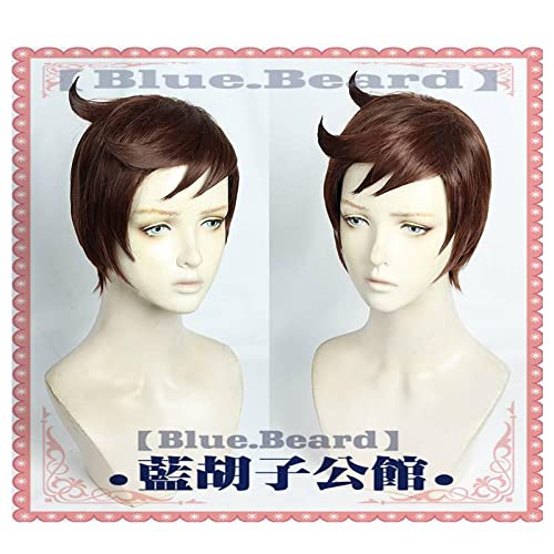 Sword Shield Hero Cosplay Short Brown Heat Resistant Synthetic Hair+ Wig Cap Halloween Party Carnival von RUIRUICOS