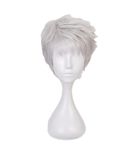 Twisted Wonderland Kalim Al-Asim Cosplay Short Silver Wig + Wig Cap Synthetic Hair Halloween Party Props Men Women von RUIRUICOS