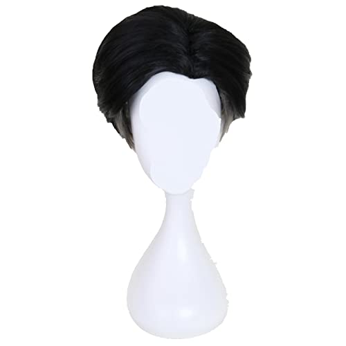 Yuri on Ice Otabek ALTIN aota Black Grey Ombre Short Cosplay Wig Men Heat Resistant Synthetic Hair Costume Party Wigs von RUIRUICOS