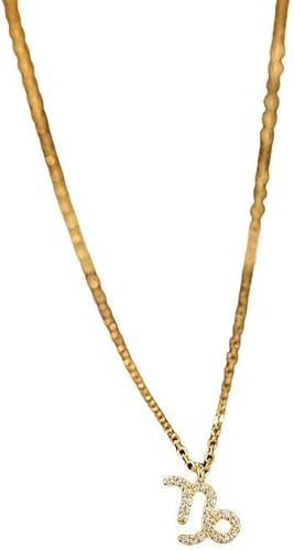 RVHAOODI 925 Sterlingtwelve -Sternbilder Zirkonfrauen und zierliche Schlüsselbeutel Kette Shiny CZ Sternbecher Guardian Choker Party Schmuck Geschenk von RVHAOODI