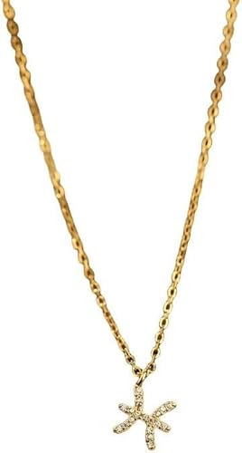 RVHAOODI 925 Sterlingtwelve -Sternbilder Zirkonfrauen und zierliche Schlüsselbeutel Kette Shiny CZ Sternbecher Guardian Choker Party Schmuck Geschenk von RVHAOODI