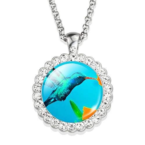 RVHAOODI Hummingbird Halskette für Frauen und Männer, Hummingbird Halskette Kardinalvogelkunst Bild Glas Strass Anhänger Kette süßer Vogelschmuck, niedlicher Tierschmuck Urlaub von RVHAOODI