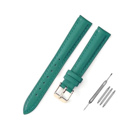 RVHAOODI Riemen 10mm - 24 mm Frauen Armbänder + Installationswerkzeuge von RVHAOODI