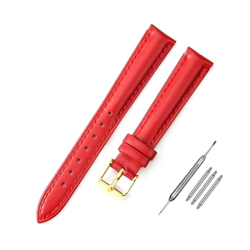 RVHAOODI Riemen 10mm - 24 mm Frauen Armbänder + Installationswerkzeuge von RVHAOODI