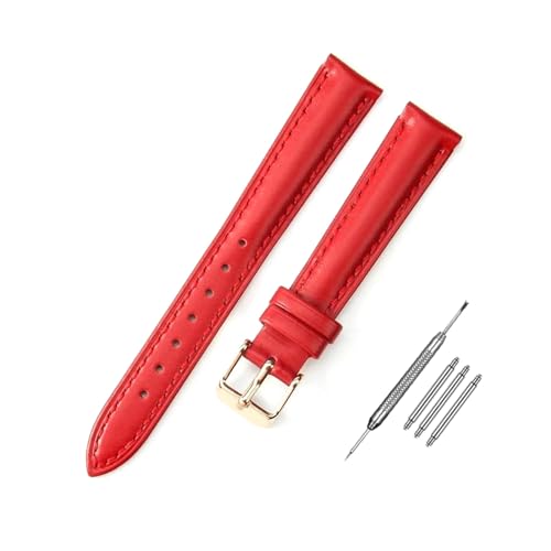 RVHAOODI Riemen 10mm - 24 mm Frauen Armbänder + Installationswerkzeuge von RVHAOODI