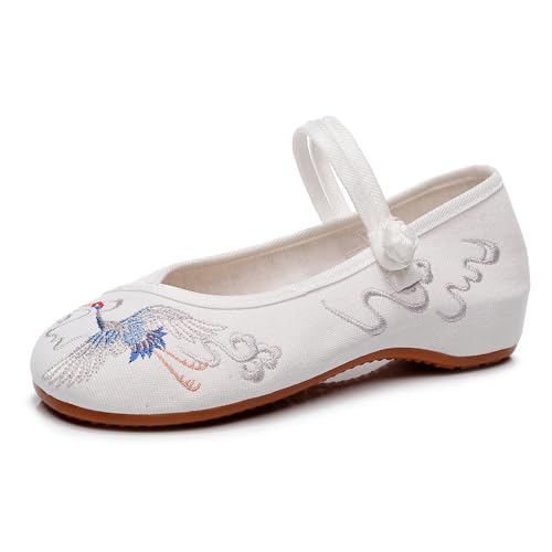 RVROVIC Mode Damenschuh Walking Tanz Stickerei Vintage Mary Jane Flats von RVROVIC