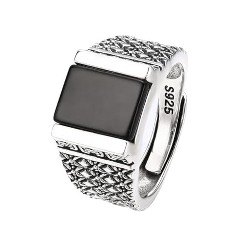 RZRPYFMM S925 Sterling Silber Männer Schwarz Onyx Ring, Gothic Öffnung Einstellbare Mode-Schmuck,Silber,8# von RZRPYFMM