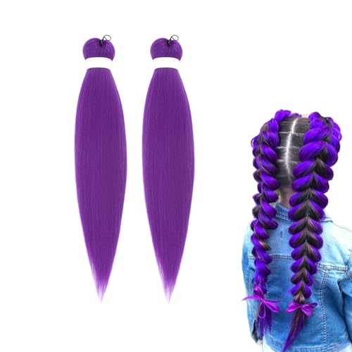Lila Flecht Haar Extensions 66 cm - Vor Gedehntes Synthetik Haare zum Flechten für Frauen, Vorgedehnte Crochet Zöpfe Weiches & Verfilztes Haar, Einfach zu Verwendendes Flecht Haar (2, Purple) von RadiantRe