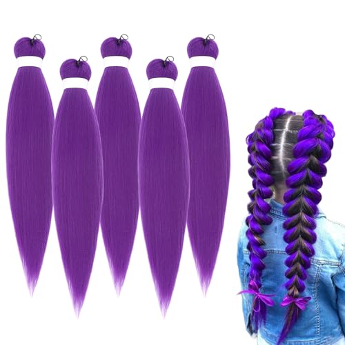 Lila Flecht Haar Extensions 66 cm - Vor Gedehntes Synthetik Haare zum Flechten für Frauen, Vorgedehnte Crochet Zöpfe Weiches & Verfilztes Haar, Einfach zu Verwendendes Flecht Haar (5, Purple) von RadiantRe