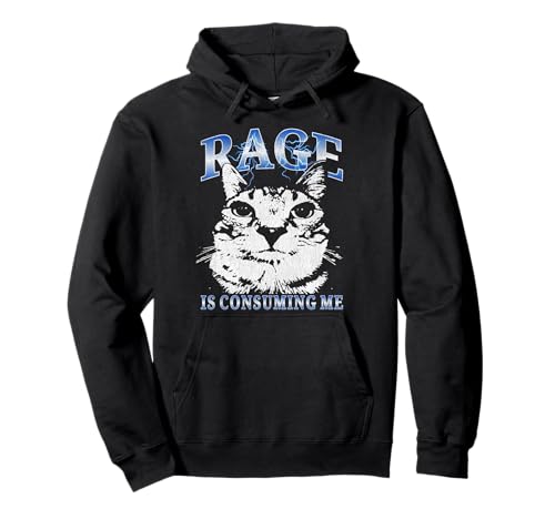 Rage is Consuming Me Lustige Katze Meme Kinder Teenager Jungen Vintage Pullover Hoodie Rage is Consuming Me Lustige Katze Meme Kinder Teenager Jungen Vintage Pullover Hoodie von Rage Is Consuming me Funny Cat Meme Teens Boys