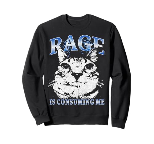 Rage is Consuming Me Lustige Katze Meme Kinder Teenager Jungen Vintage Sweatshirt von Rage Is Consuming me Funny Cat Meme Teens Boys