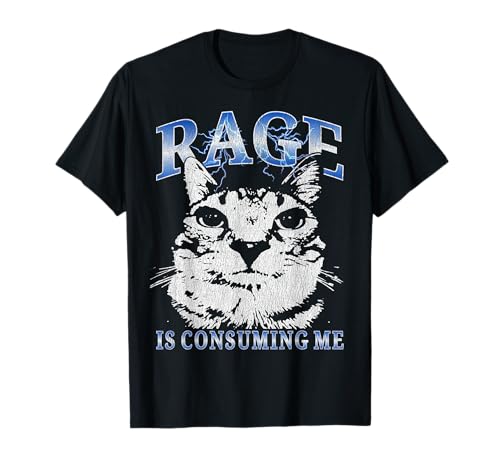 Rage is Consuming Me Lustige Katze Meme Kinder Teenager Jungen Vintage T-Shirt Rage is Consuming Me Lustige Katze Meme Kinder Teenager Jungen Vintage T-Shirt von Rage Is Consuming me Funny Cat Meme Teens Boys