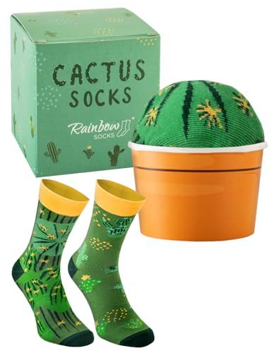 Rainbow Socks - Cactus Box Socks - Ein Kaktus in Einem Blumentopf – Damen Herren Grüne Kaktussocken – ein Lustiges Geschenk für Kaktus Sukkulente und Pflanzenfans - 1 Paar - Größen 36-40 von Rainbow Socks