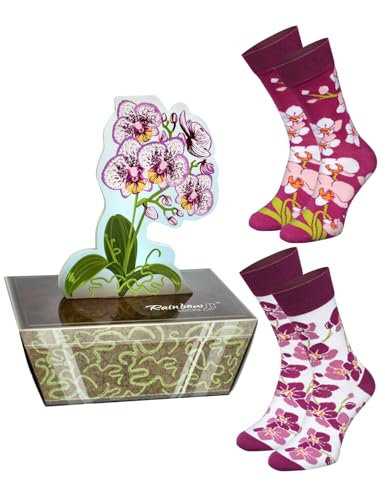 Rainbow Socks - Orchid Box Socks - Damen Novelty Elegant Geschenk Orchidee Blumen Socken für Frauen Mädchen Großmutter Floristen Blumen Fans - 2 Paar - Größen 36-40 von Rainbow Socks