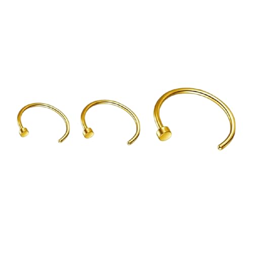 3 Stück Nasenpiercing Nasenring, Edelstahl Fake Nasenpiercing Ring, Nasenring Piercing Hoop, Knorpel Dünn Klein Helix Hypoallergen, Lippe Tragus Daith Piercing Ohr Hoop für Frauen Männer 3/6/8MM 3 Stück Nasenpiercing Nasenring, Edelstahl Fake Nasenpiercing Ring, Nasenring Piercing Hoop, Knorpel Dünn Klein Helix Hypoallergen, Lippe Tragus Daith Piercing Ohr Hoop für Frauen Männer 3/6/8MM von Rainway