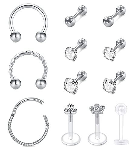 Rajnard 12 STK Helix Tragus Piercing Silber Cartilage Ohrstecker Ohrring Chirurgenstahl Knorpel Ohrpiercing 16G CZ Lippenpiercing Barbell Piercing Labret Monroe Schmuck Damen Männer von Rajnard