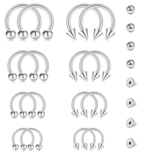 Rajnard 16G Silber Nasenring Piercing und Ersatz Kugel Set Chirurgenstahl Helix Hufeisen Septum Lippe Knorpel Tragus Conch Daith Ohrringe 6 8 10 12mm für Frauen und Männer von Rajnard