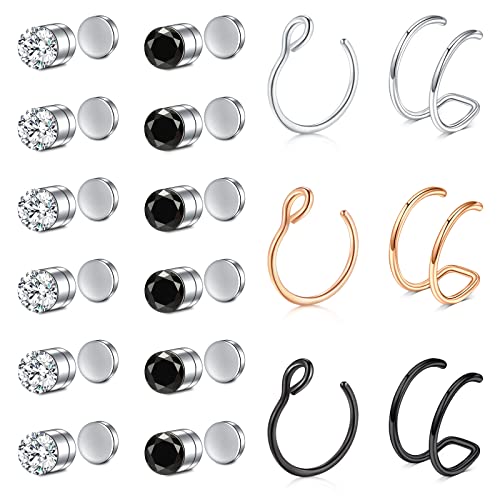 Rajnard 18 Stück Fake Nasenring Fake Nasenpiercing Fake Nasenstecker Chirurgenstahl Fake Helix Tragus Piercing Faux Lip Labret Stud Fake Piercings für Frauen Männer von Rajnard