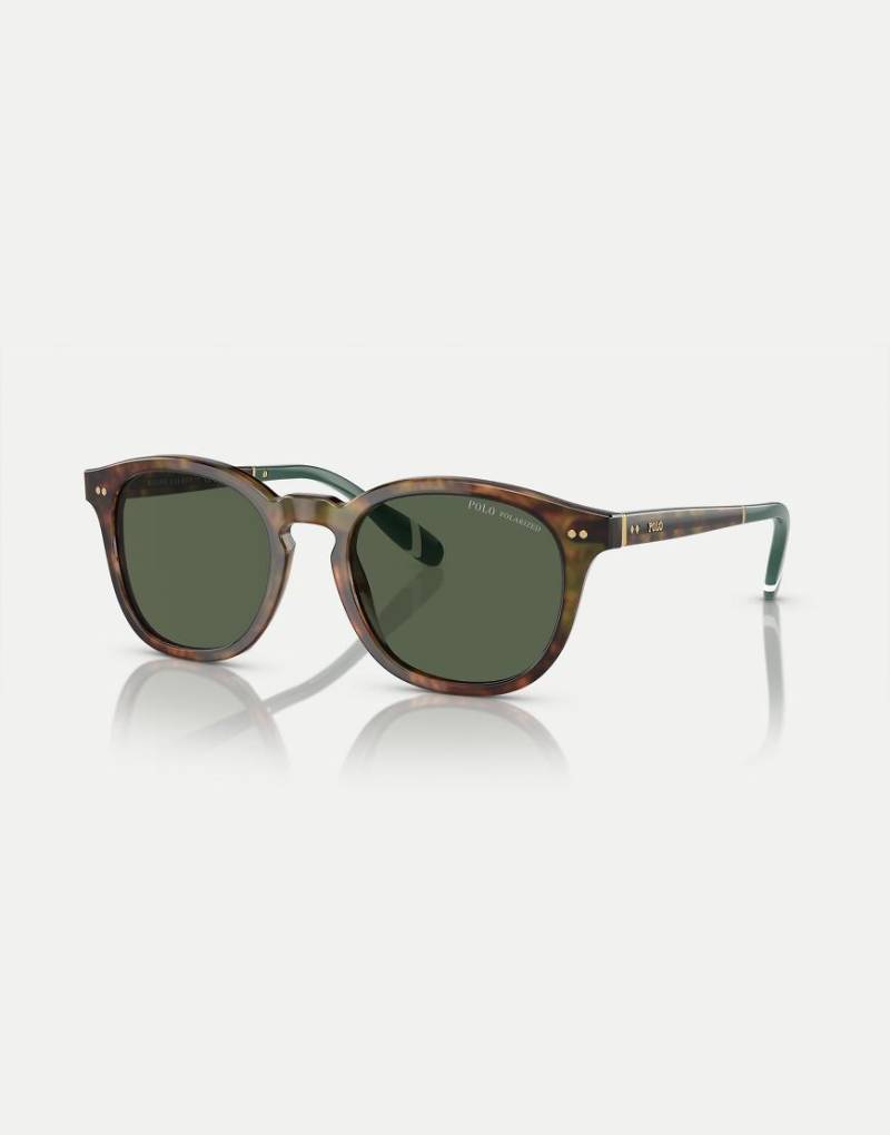 Polo Ralph Lauren - Ph4206 Phantos - Sonnenbrille in glänzendem Schildpattbraun mit polarisierten grünen Gläsern von Ralph Lauren