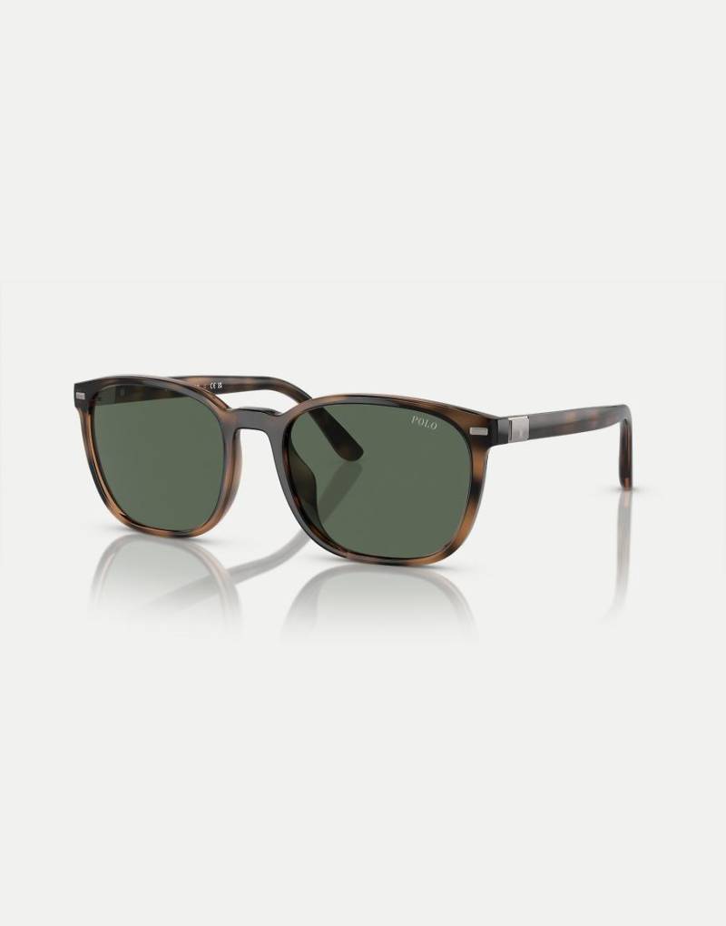Polo Ralph Lauren - Ph4208u - Eckige Sonnenbrille in glänzendem Havanna-Braun mit grünen Gläsern von Ralph Lauren